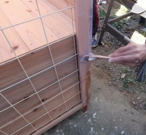 犬小屋：塗装（カラード）