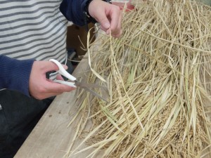 ミニ門松：稲取り